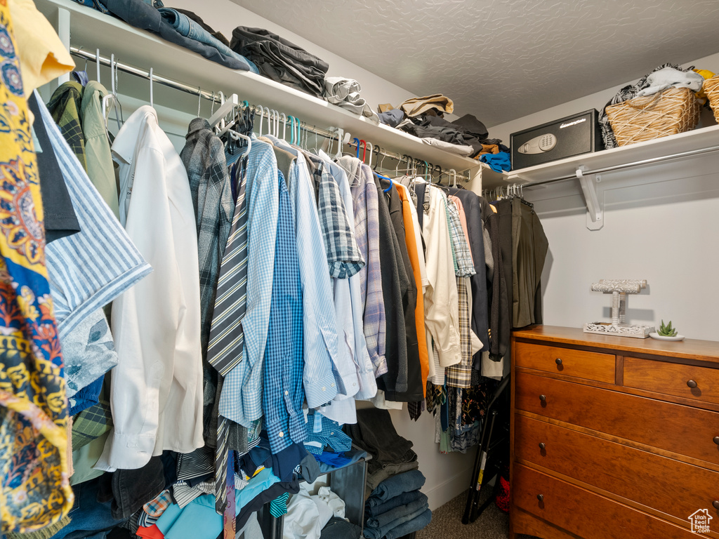 Walk in closet with carpet