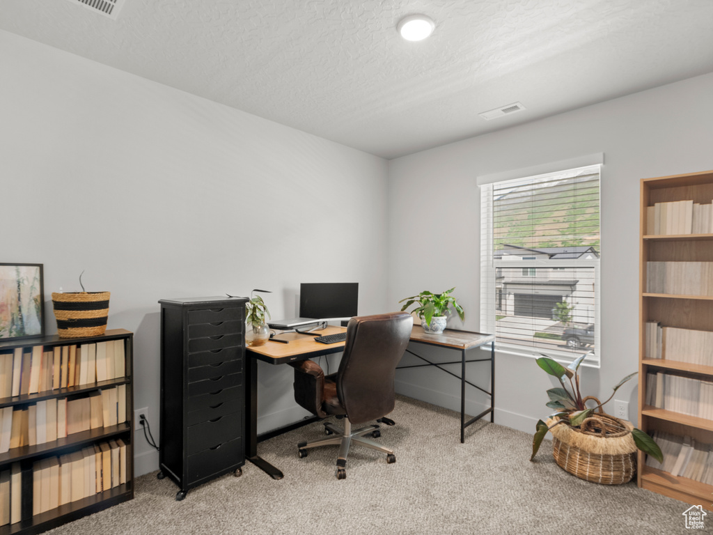 Carpeted home office with baseboards and a textured ceiling