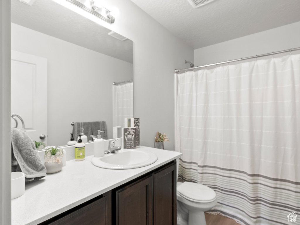 Bathroom featuring toilet, vanity, and a shower with curtain