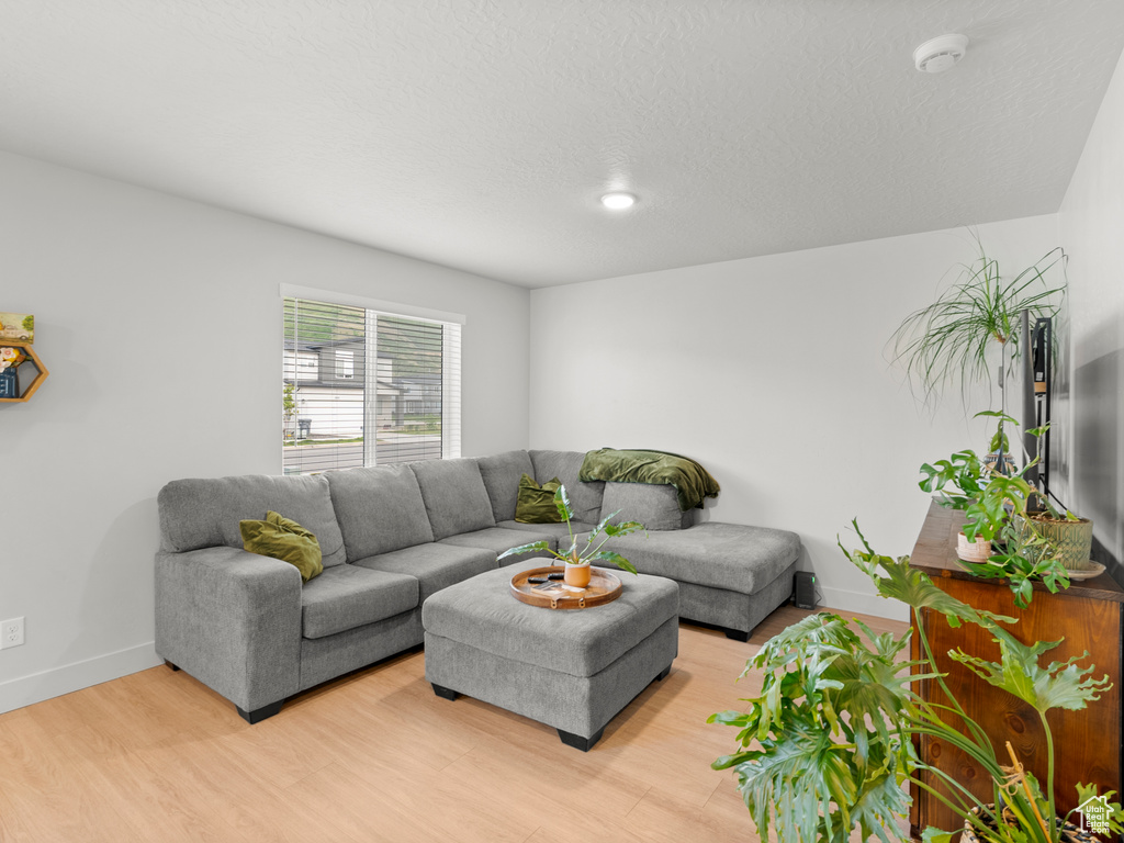 Living room featuring light wood-type flooring and baseboards