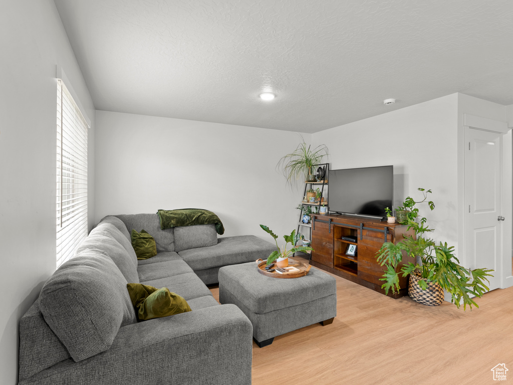 Living room with light wood finished floors
