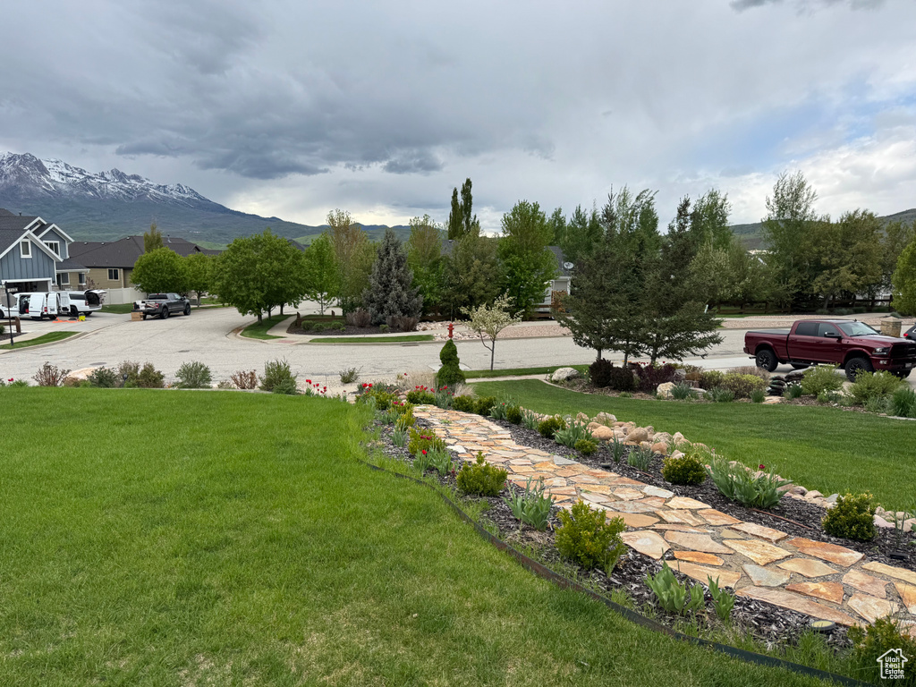 View of green lawn with a mountain view