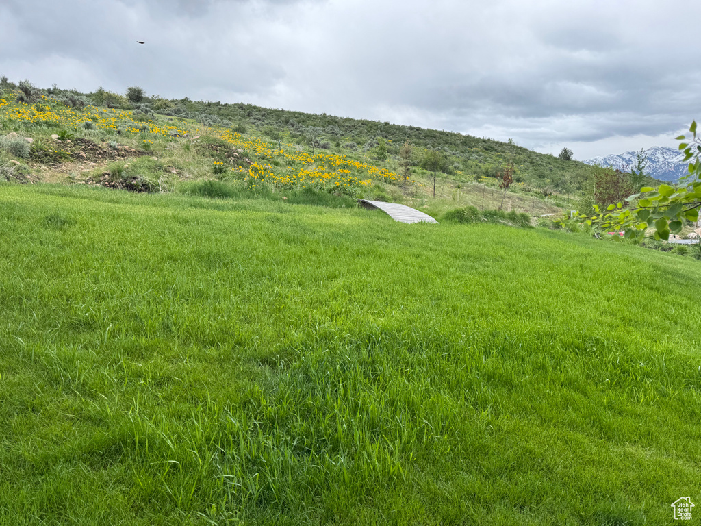 View of yard with a mountain view