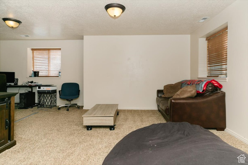 Sitting room featuring a textured ceiling, carpet floors, baseboards, and an office area