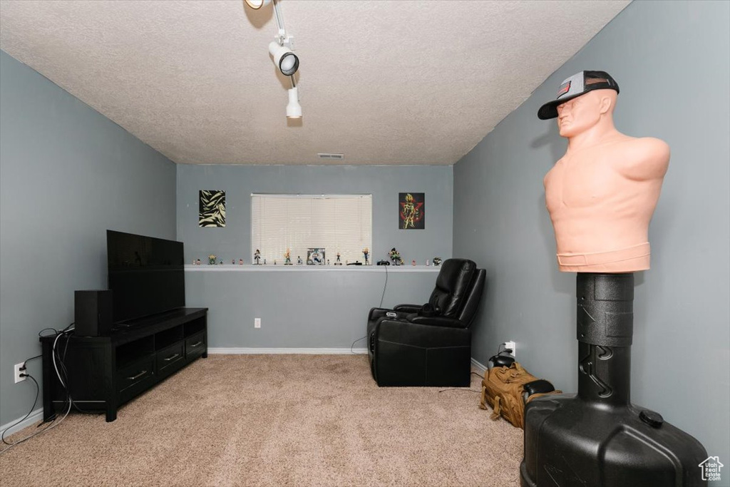 Living area with a textured ceiling, carpet flooring, and baseboards