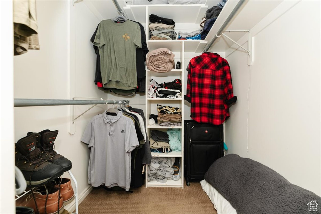 Walk in closet featuring carpet floors