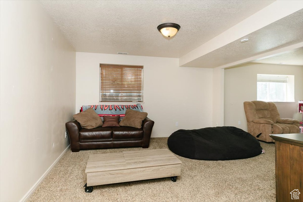 Living area with a textured ceiling, carpet, and baseboards