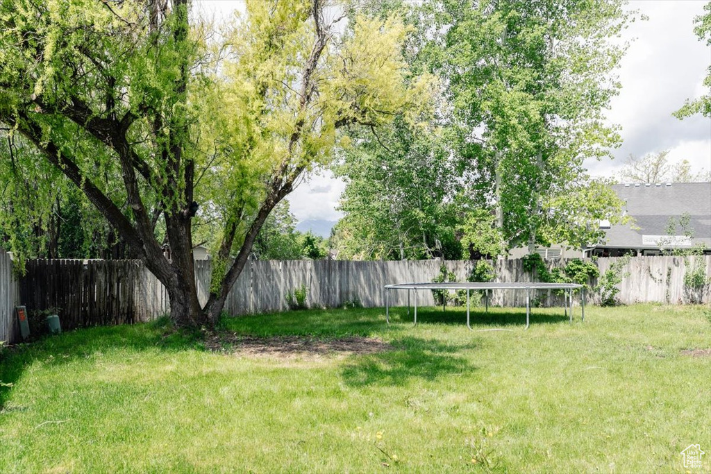 View of yard with a trampoline