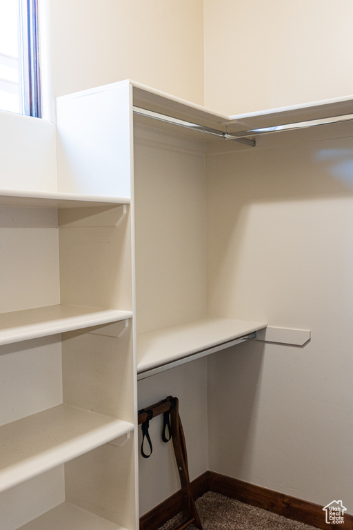View of walk in closet