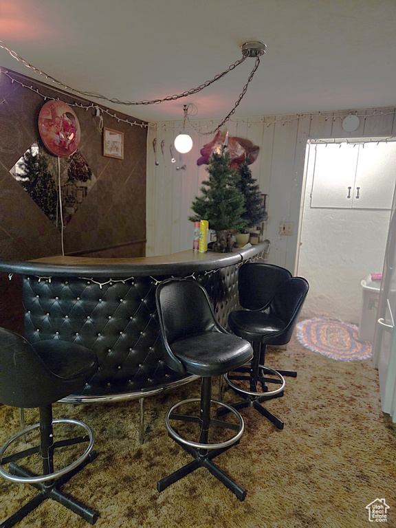 Indoor dry bar with carpet flooring