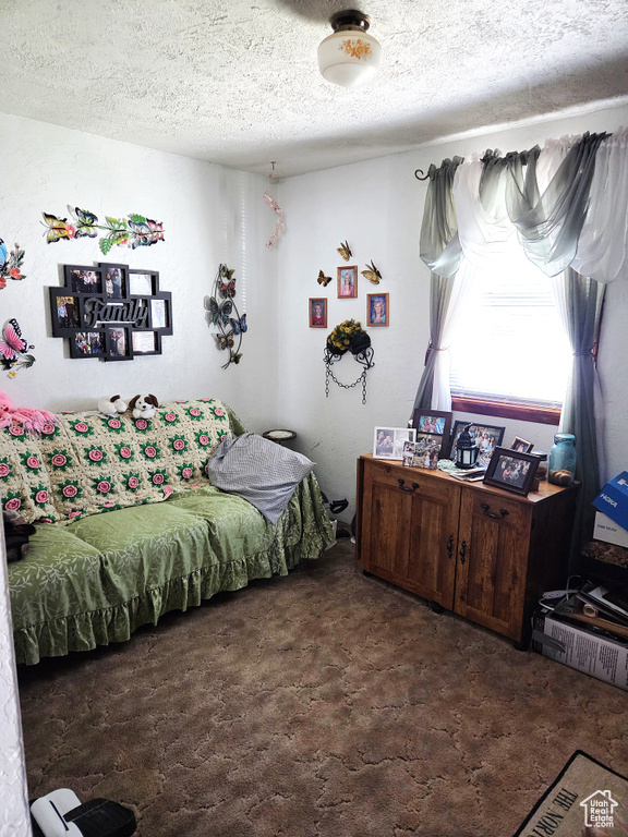 Carpeted bedroom with a textured ceiling