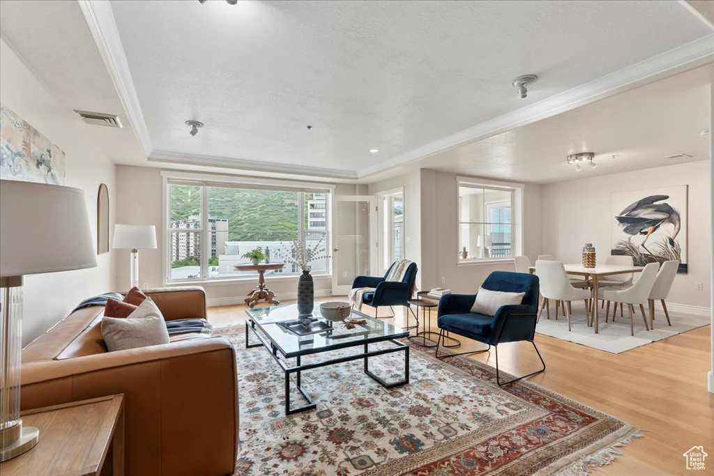 Living room with light wood finished floors, a raised ceiling, ornamental molding, and baseboards