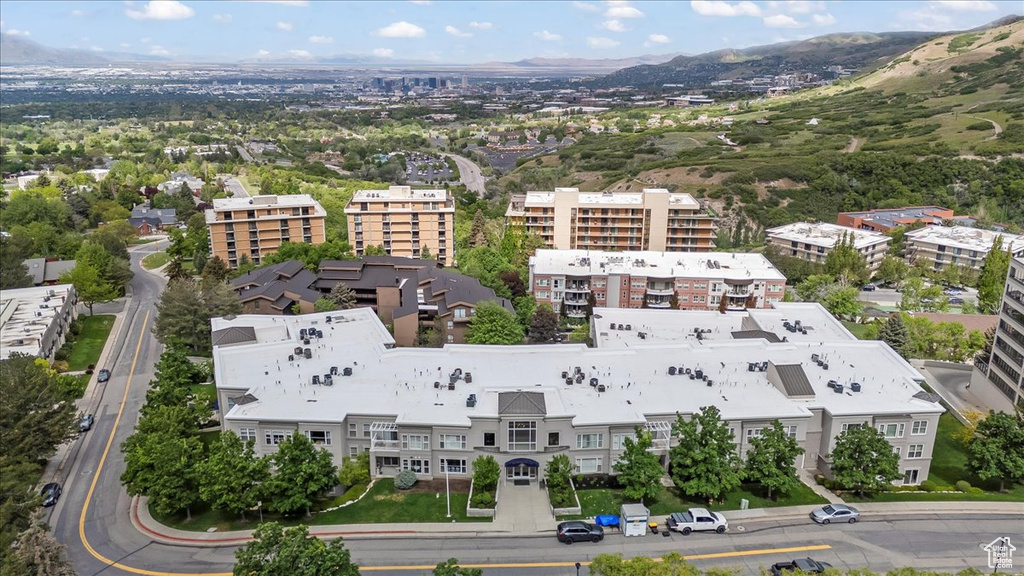Bird's eye view of a mountain backdrop