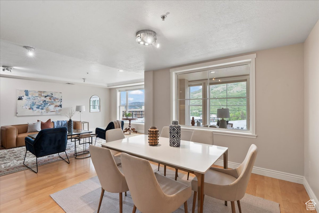 Dining room featuring light wood finished floors, baseboards, and a textured ceiling