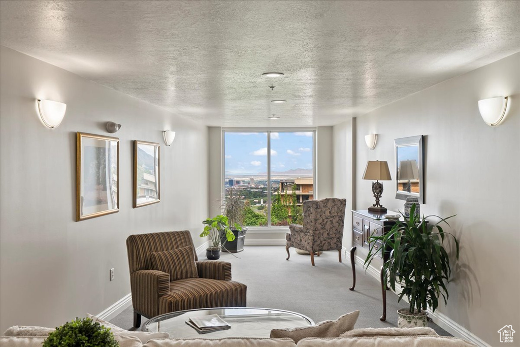 Living room with carpet flooring, baseboards, and a textured ceiling