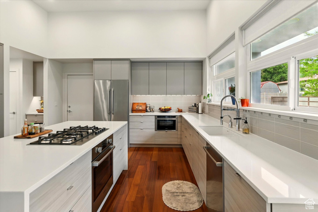 Kitchen with modern cabinets, stainless steel appliances, a sink, gray cabinetry, and dark wood finished floors