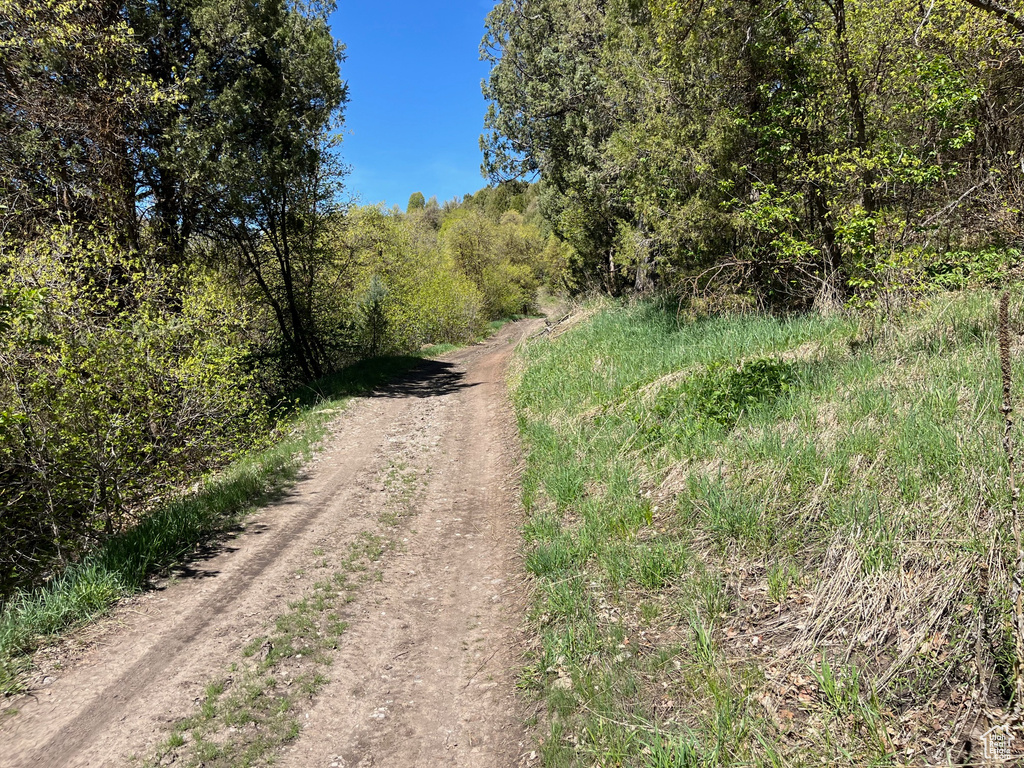 View of road featuring a view of trees