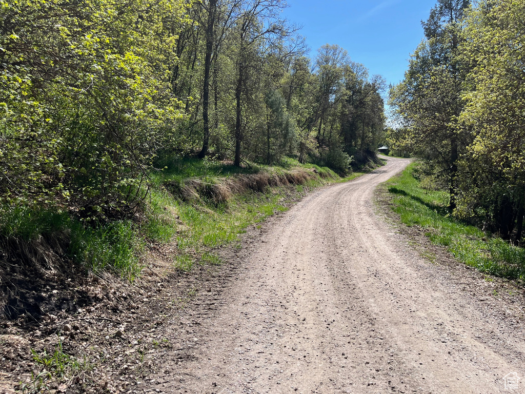 View of dirt / gravel road featuring a forest view
