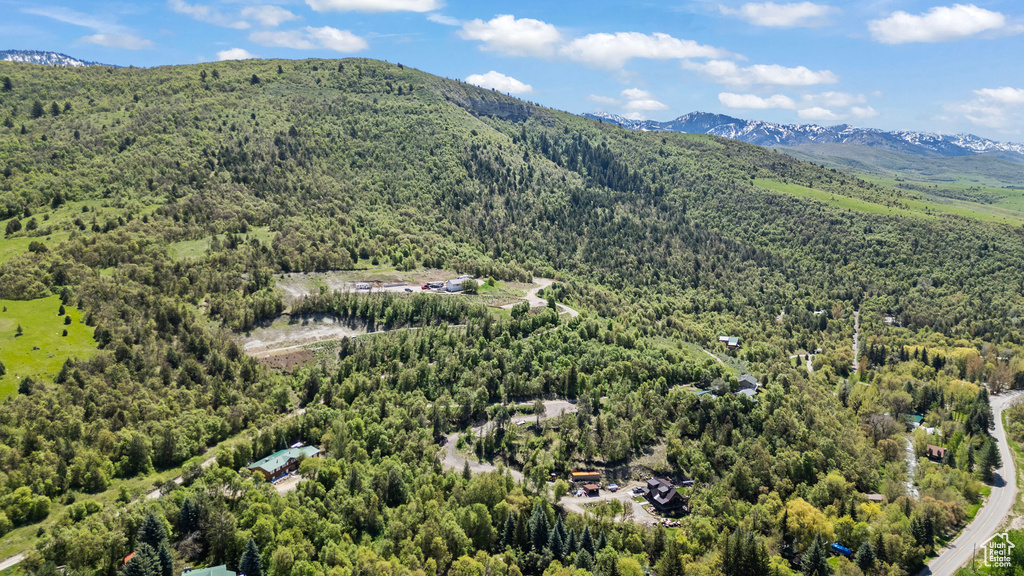 Aerial view of a heavily wooded area and mountains