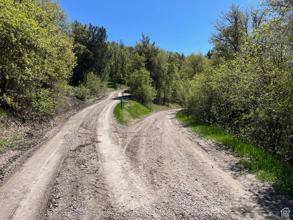 View of dirt / gravel road featuring a view of trees