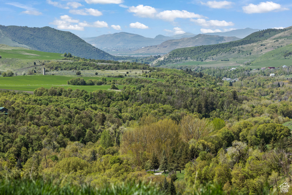 View of mountain background with a heavily wooded area