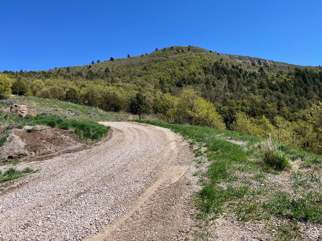 View of dirt / gravel road featuring a view of trees