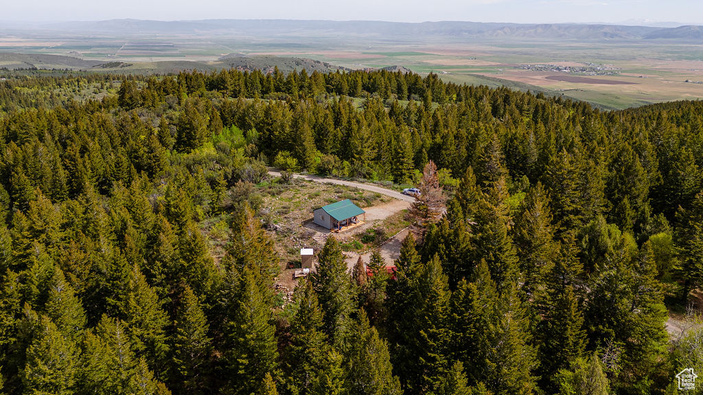 Drone / aerial view of a forest and mountains
