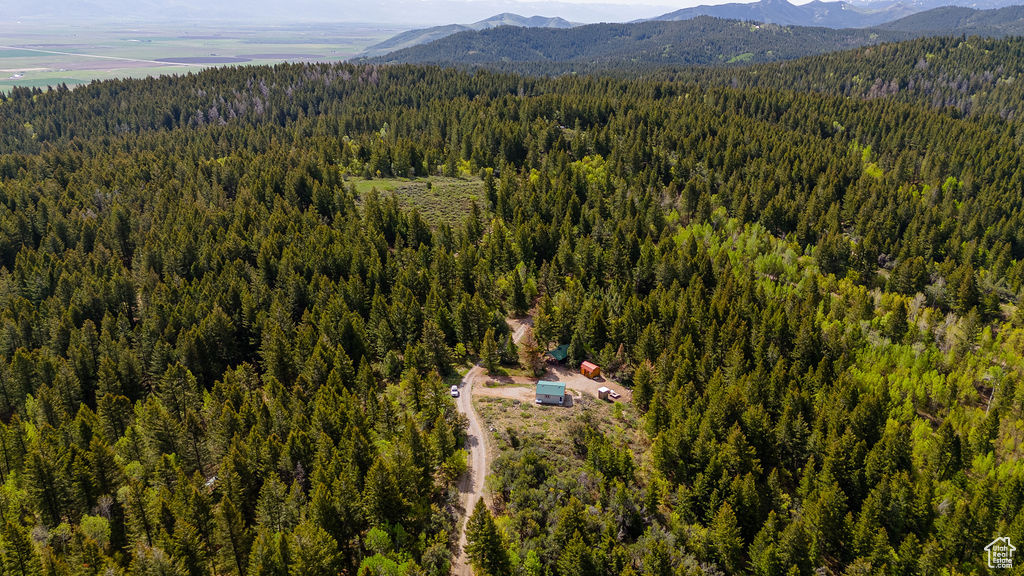 Aerial view of mountains and a heavily wooded area