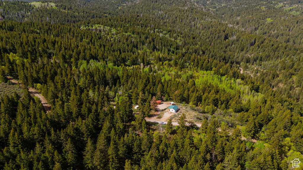 Aerial view of property\\\'s location with a forest and a mountain backdrop