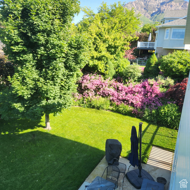 View of grassy yard with a mountain view and a patio area