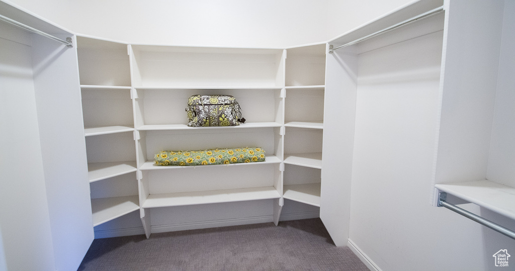 Walk in closet with carpet