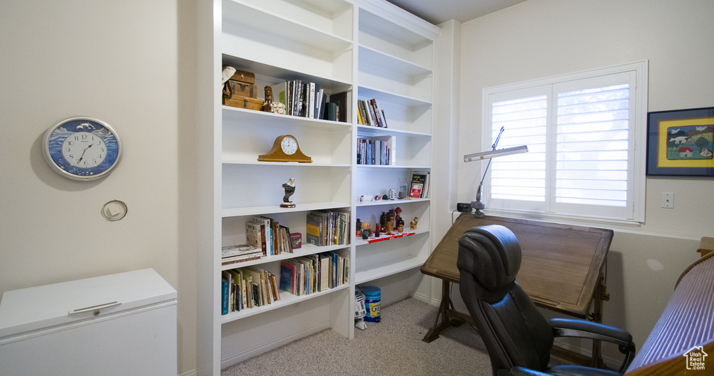 Office with carpet floors