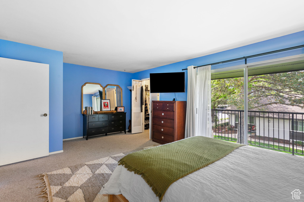 Carpeted bedroom with a spacious closet, access to exterior, a closet, and baseboards