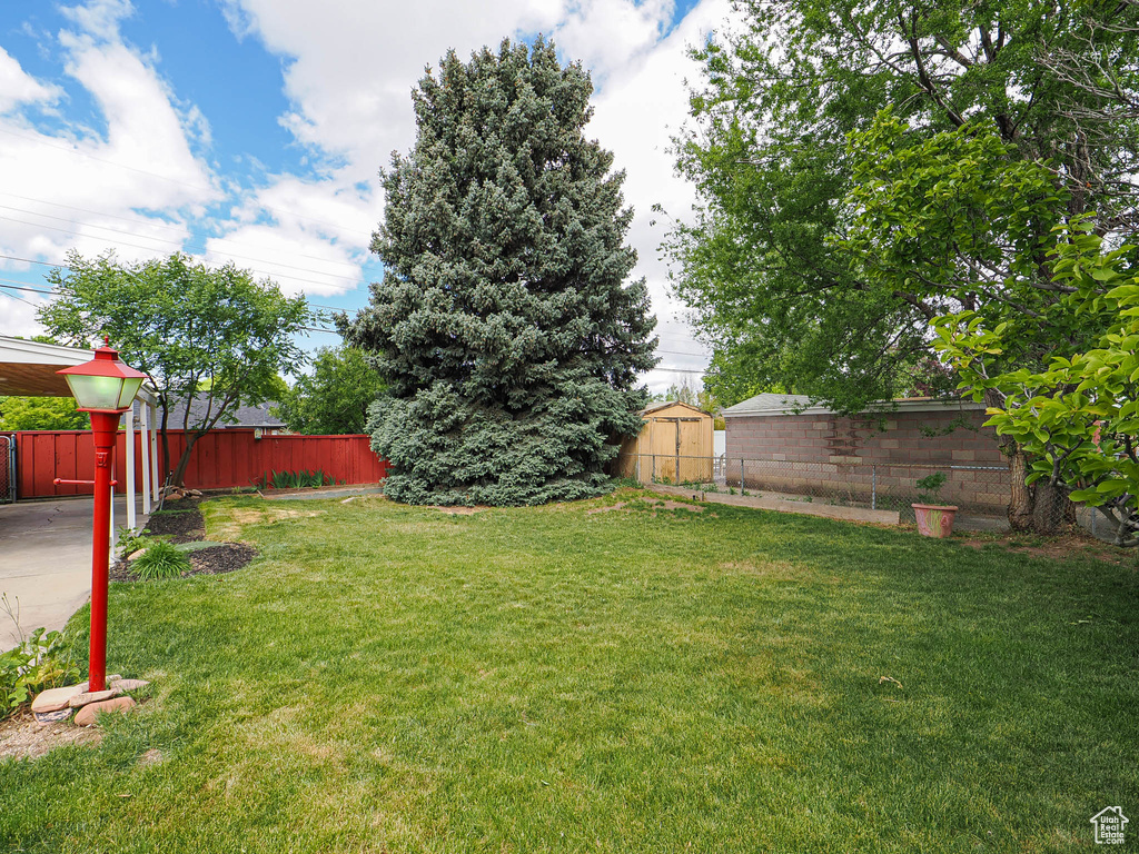 View of yard with a shed and an outdoor structure