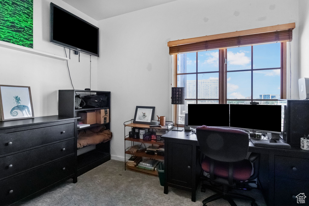 Office area featuring carpet floors