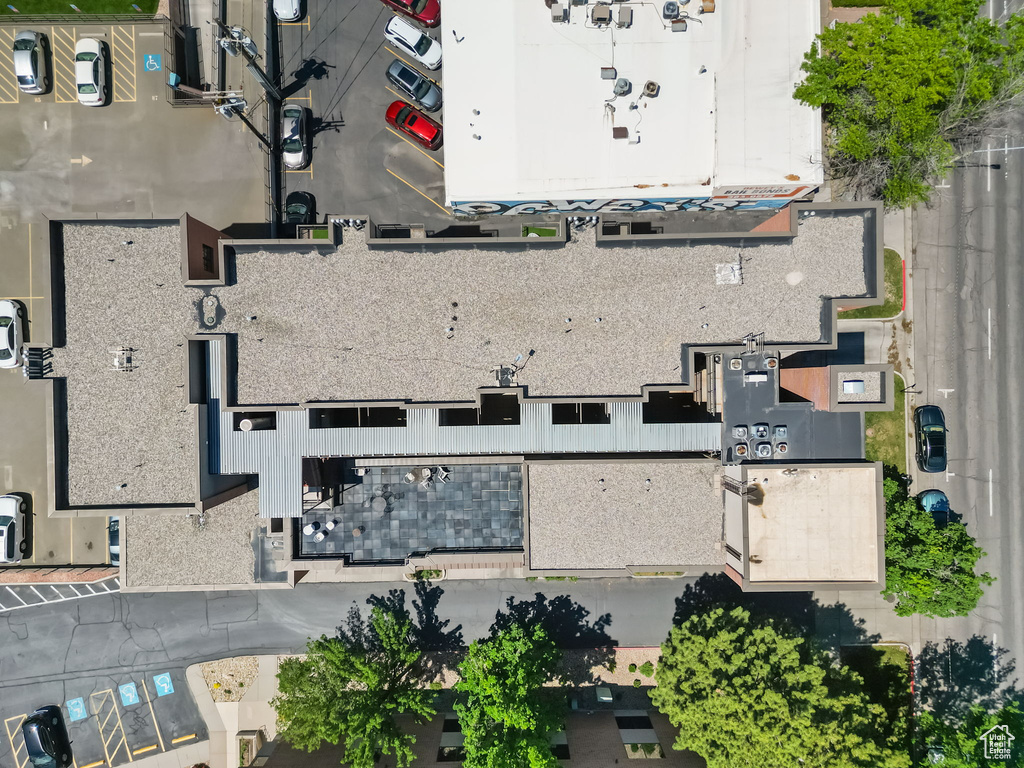 Bird\'s eye view