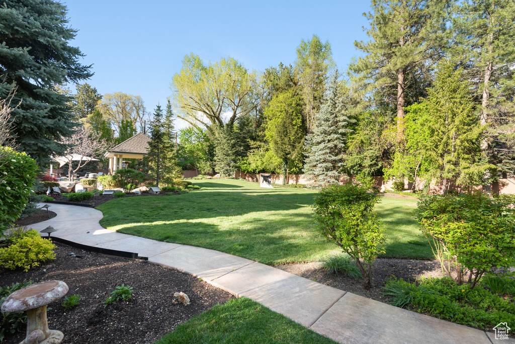 View of grassy yard