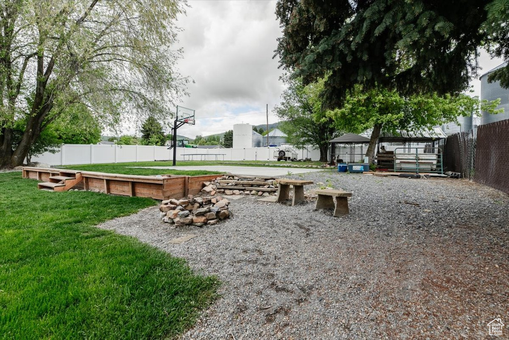 View of yard