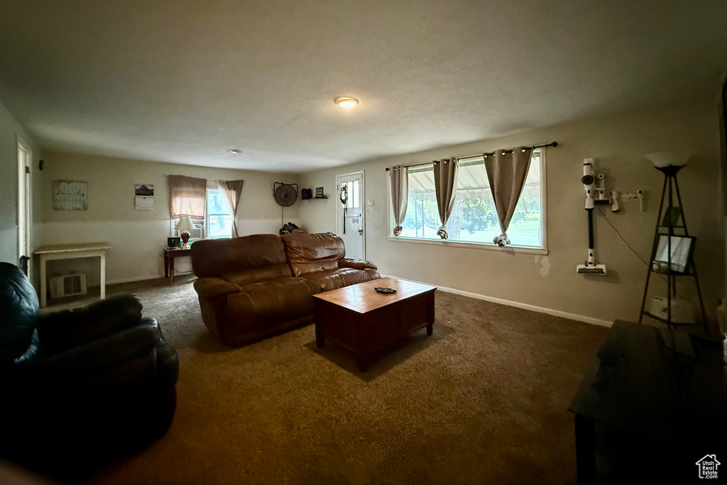 Living room with dark carpet and baseboards