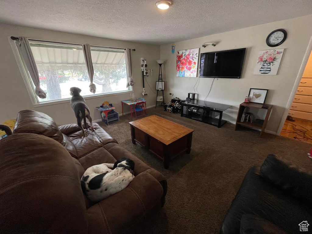 Carpeted living area with a textured ceiling and baseboards