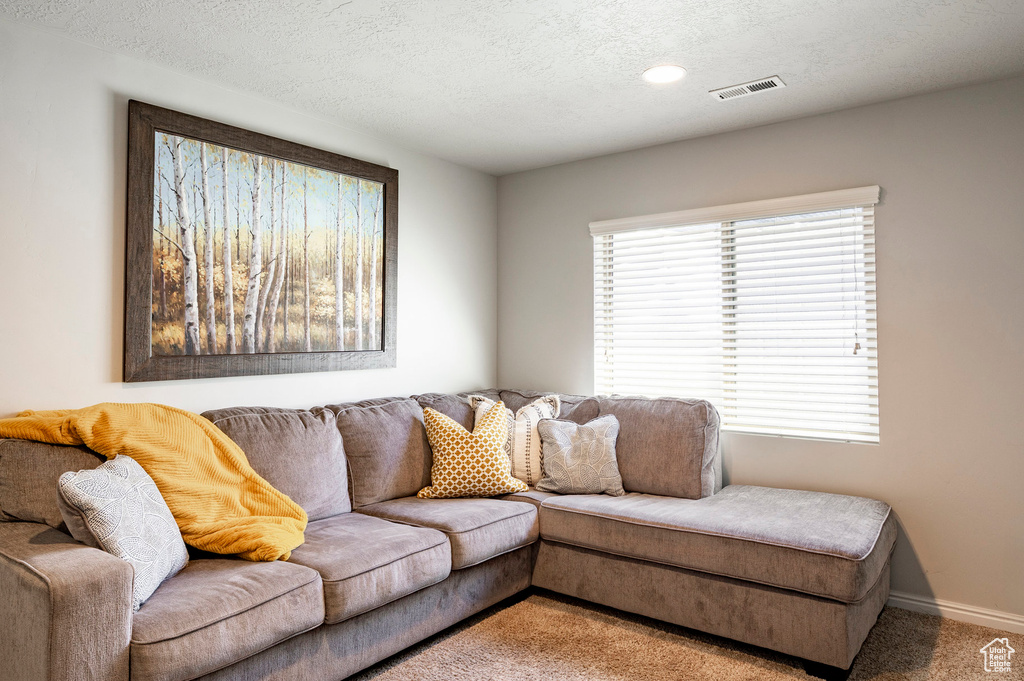 Carpeted living room with a textured ceiling and baseboards