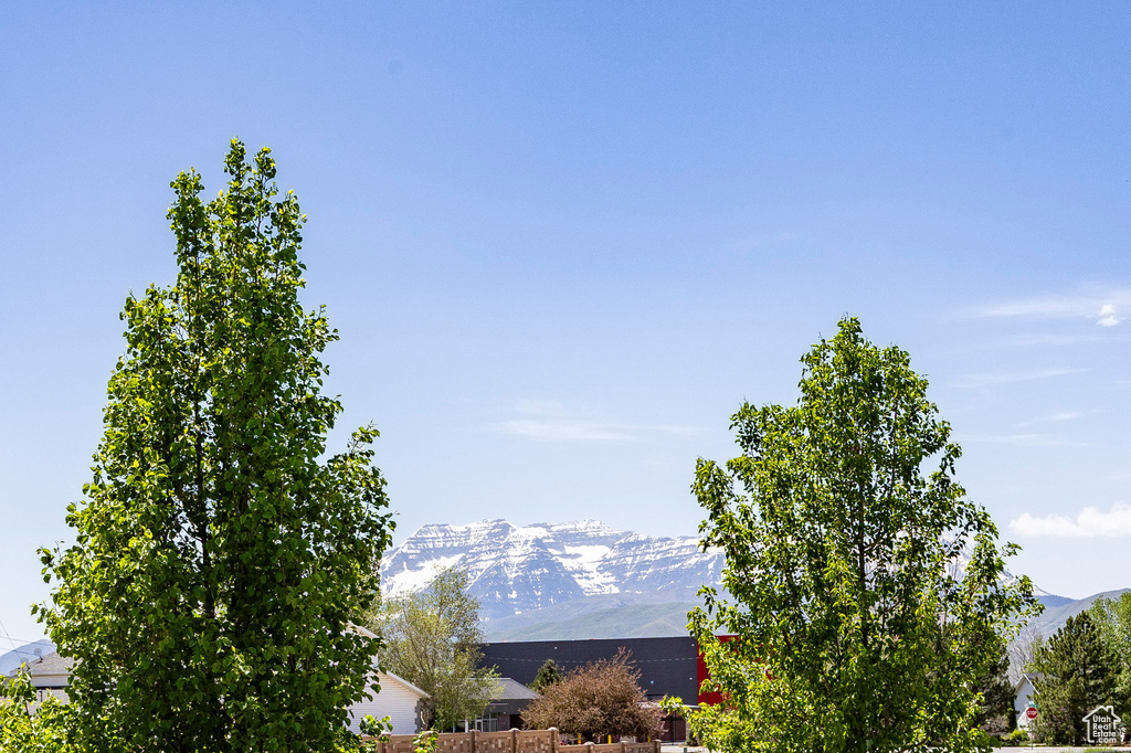 View of mountain background