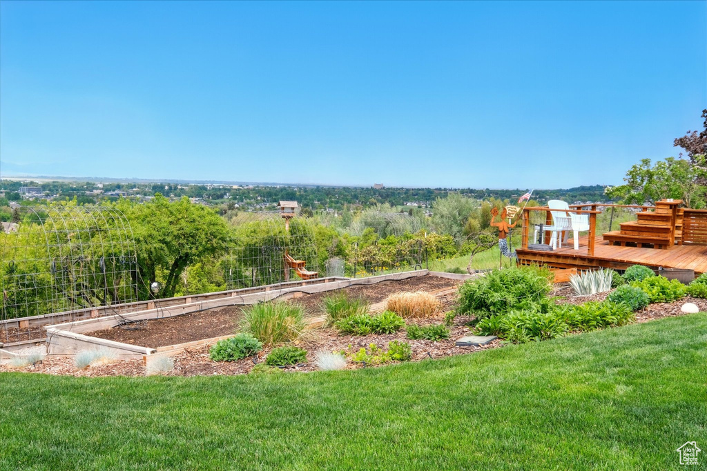 View of green lawn with a deck and a garden