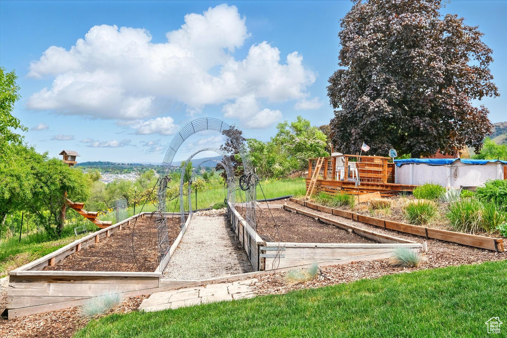 View of yard featuring a vegetable garden