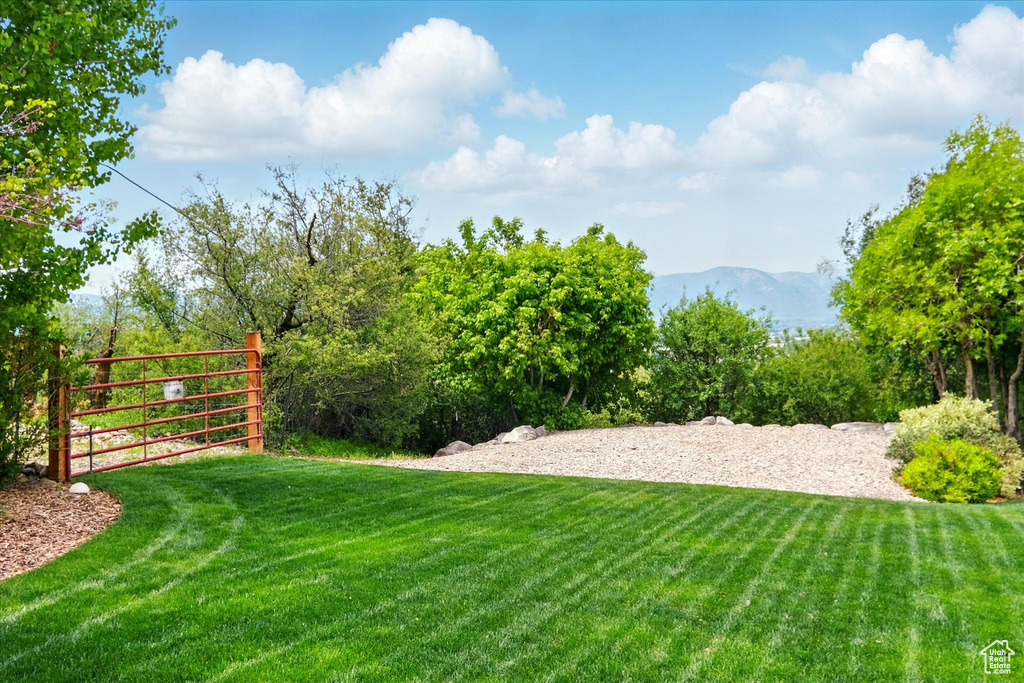 View of grassy yard featuring a mountain view