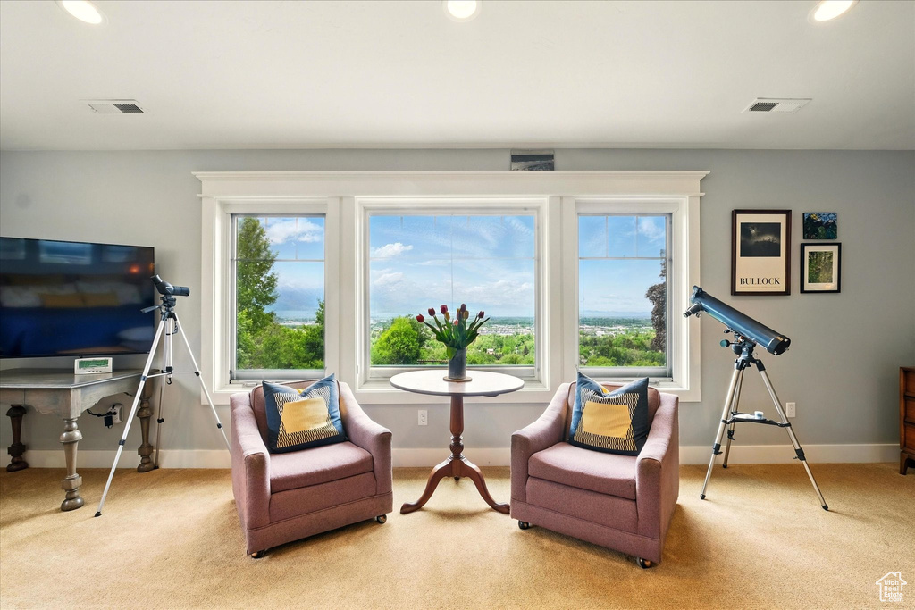 Sitting room with light colored carpet, baseboards, and recessed lighting