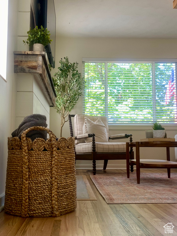 Living area featuring plenty of natural light and light wood-style floors