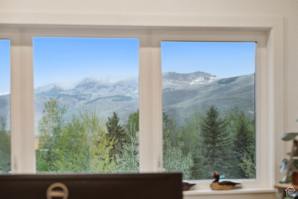 Mountain view
