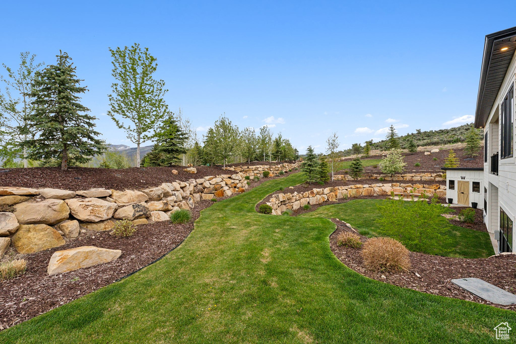 View of green lawn
