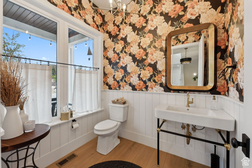Bathroom with wallpapered walls, wood finished floors, wainscoting, toilet, and a sink